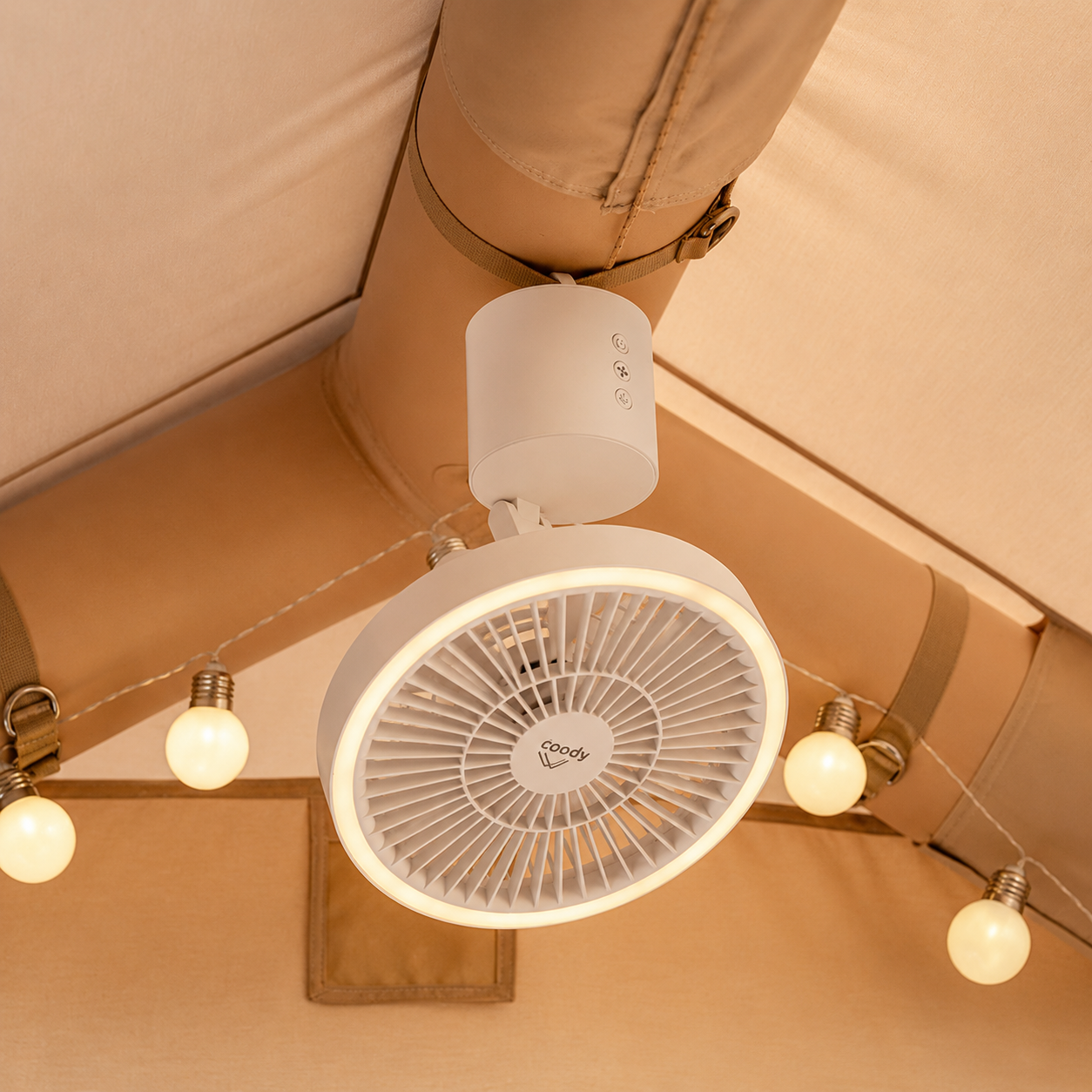 Coody Air Beam - Schnallengurt