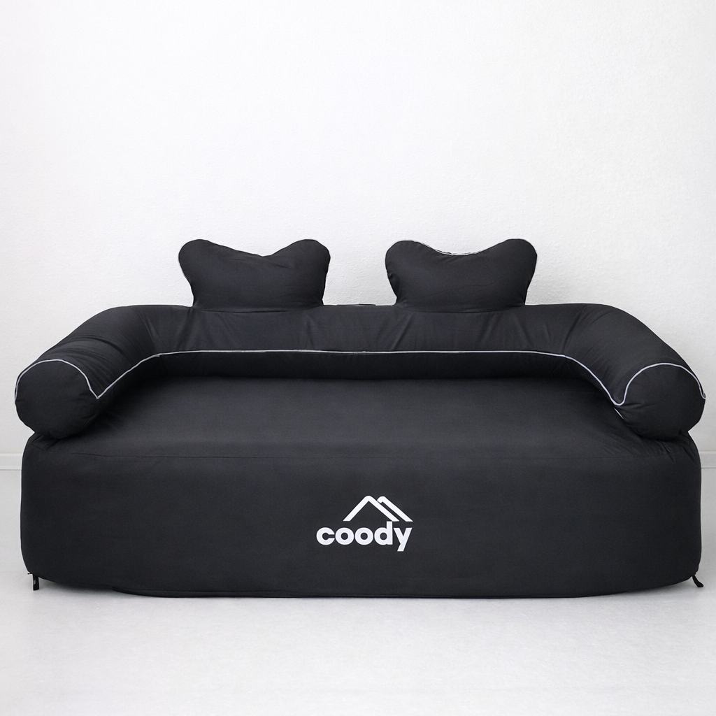 Coody Smart Draadloze Elektrische Luchtpomp CQ-100